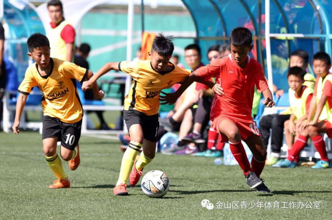 金山区青少年足球,金山区足球青少年精英训练营