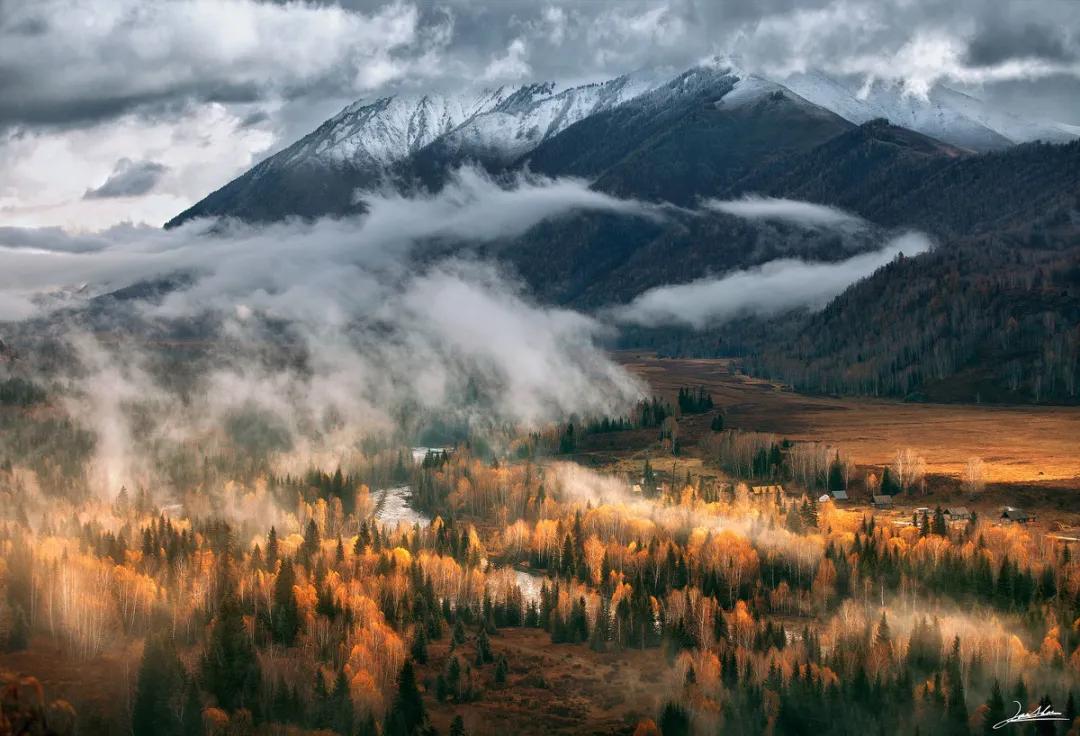 苏沧桑作品,苏沧桑小说