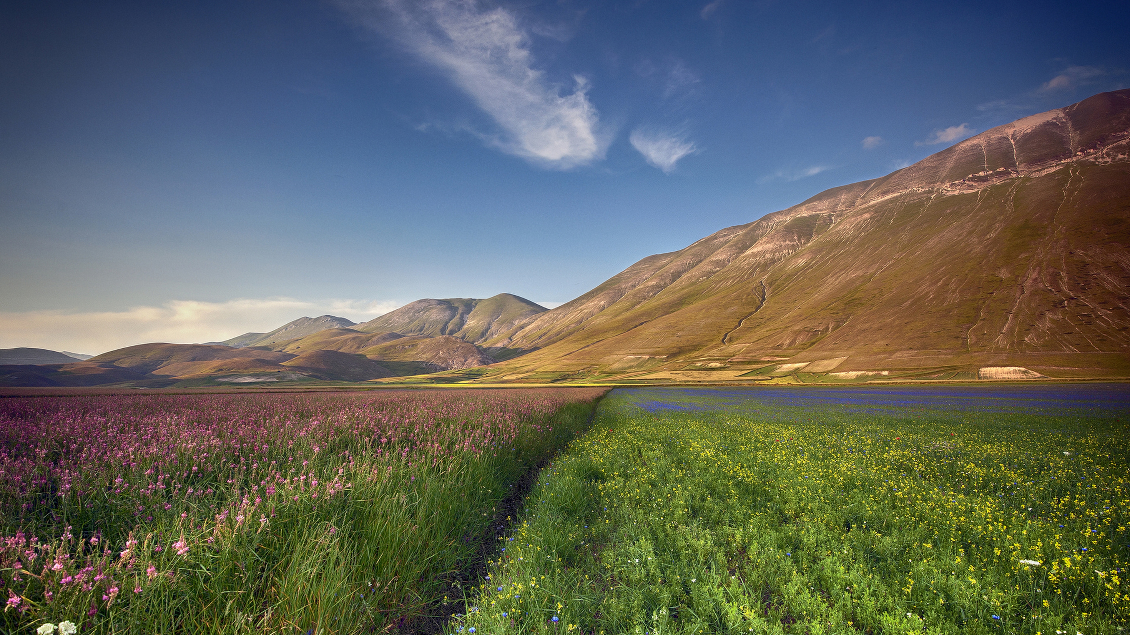 清新护眼的自然风景桌面壁纸,风景壁纸图片大全高清自然风景
