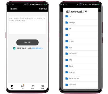 突破速度极限，专为磁力链接而生，完爆某雷的*载下**神器