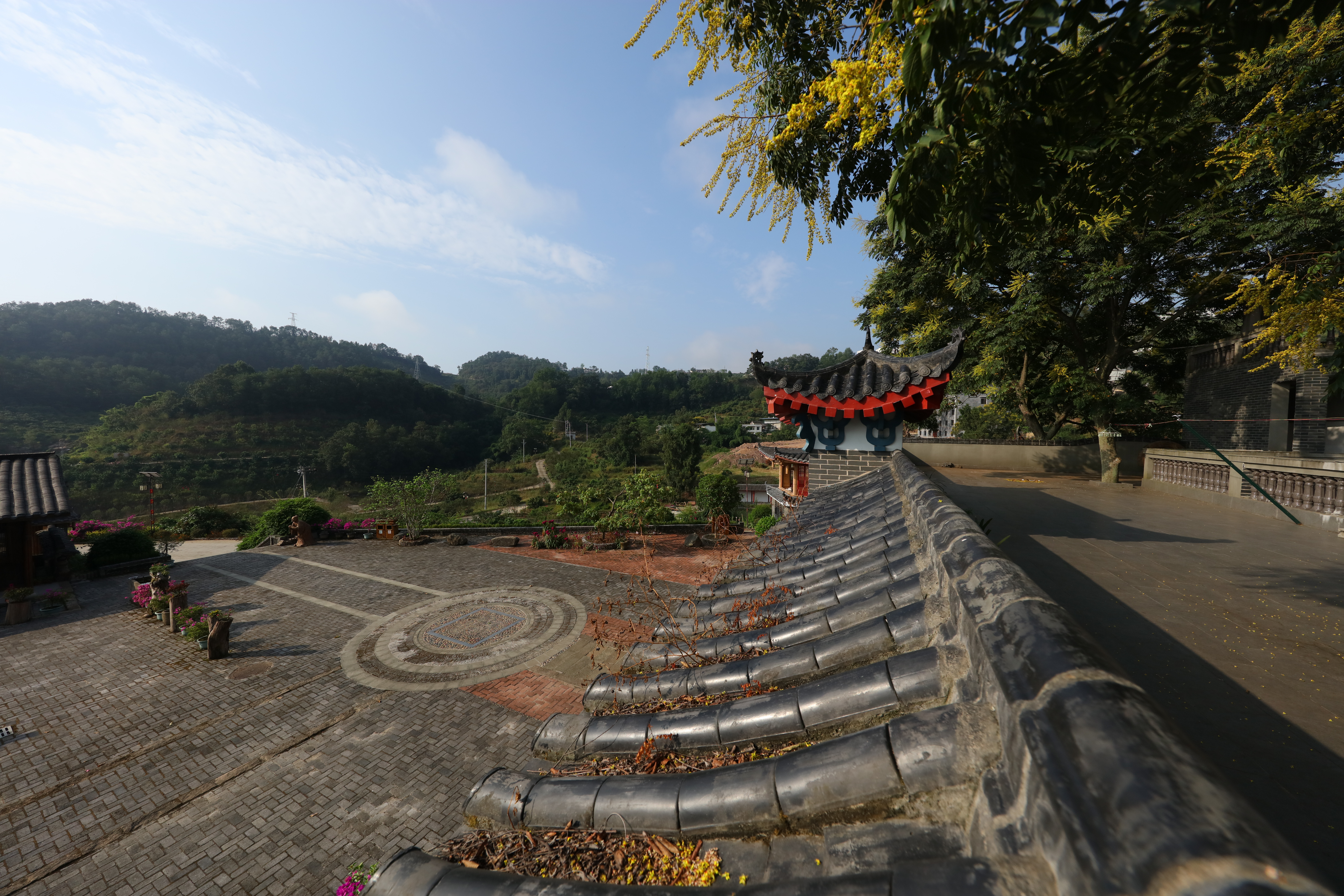 重庆理工大学助力,重庆市大学乡村振兴