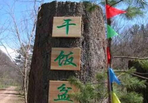 思念家乡青藏高原,思念家乡的嫩江