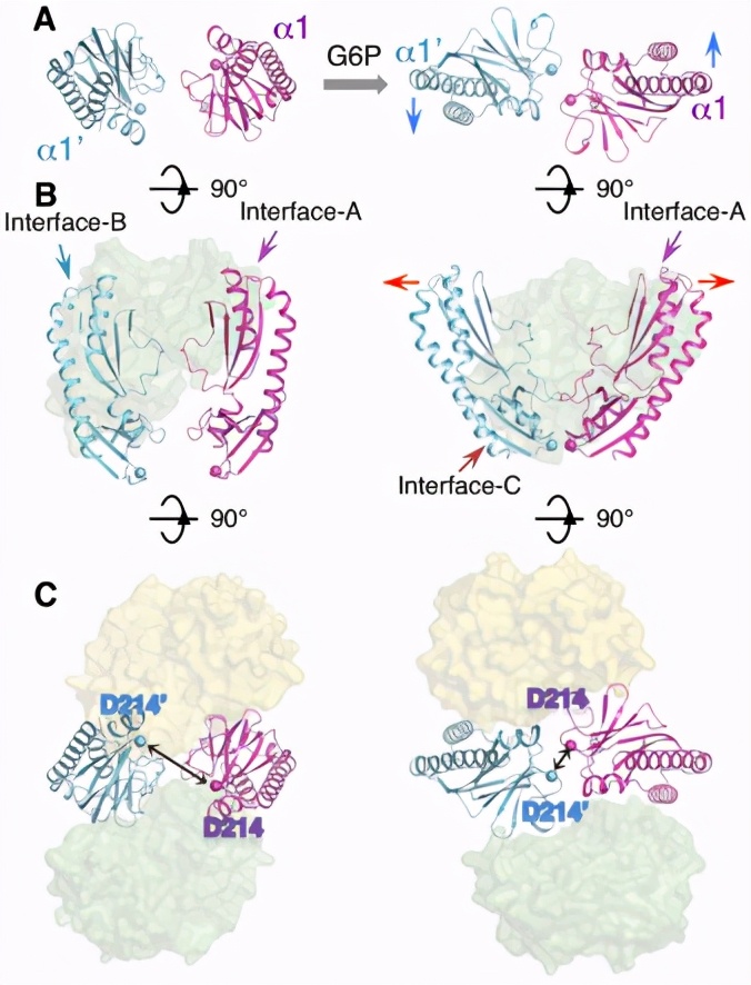 中科大与浙大科研成果,中科大科研经费2022