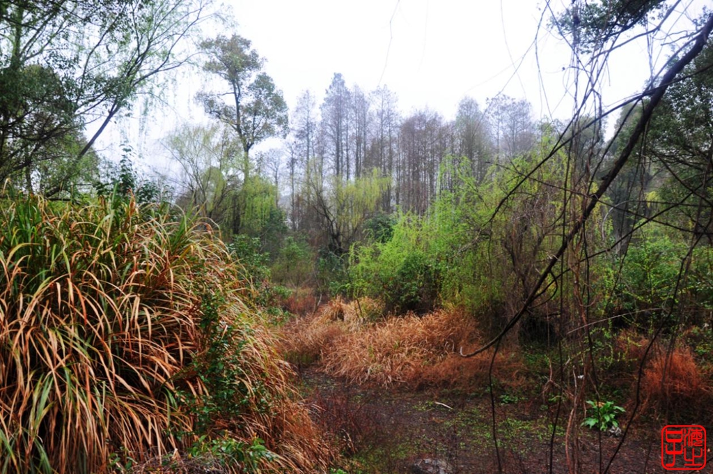 浙江母亲河钱塘江,浙江台州春风
