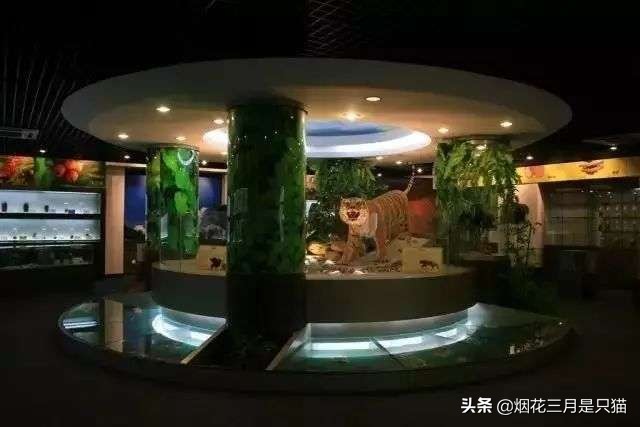 还在为选学校发愁吗,还在为选项目发愁吗