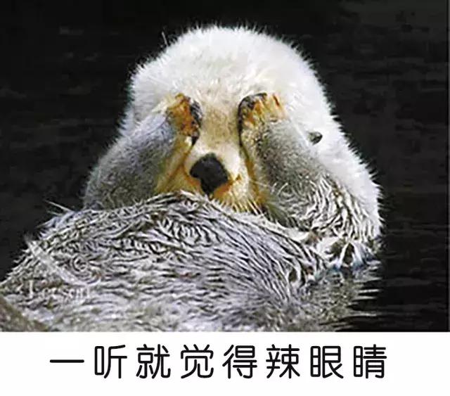 眼睛干涩润滑剂,眼睛干涩用什么药水滴眼