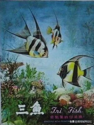 青岛有哪些老字号品牌,青岛老字号有哪些