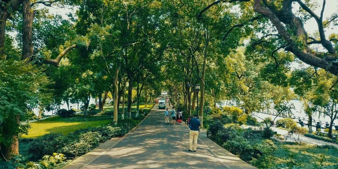 杭州西湖必游景点攻略大全图,杭州西湖新十景游玩顺序攻略