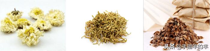 感冒了不想吃药有什么好方法,感冒了不想吃药怎么办呢