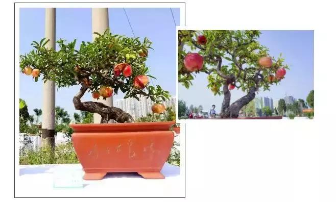 邯郸国庆亲子游人少风景好,邯郸周边二日游的绝佳去处