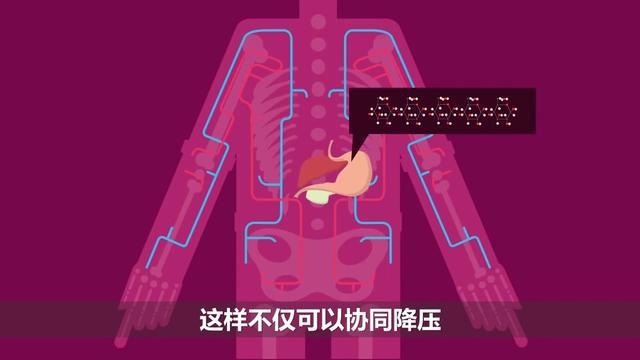 降压药替米沙坦的副作用有哪些,降压药替米沙坦功效和作用