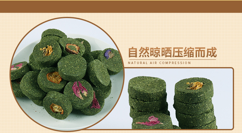 龙猫新手饲养套装,龙猫新手攻略