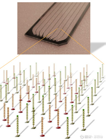全场硬菜!分子诊断技术全解析