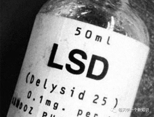 世界最畅销的冷知识,冷知识最贵淡水鱼