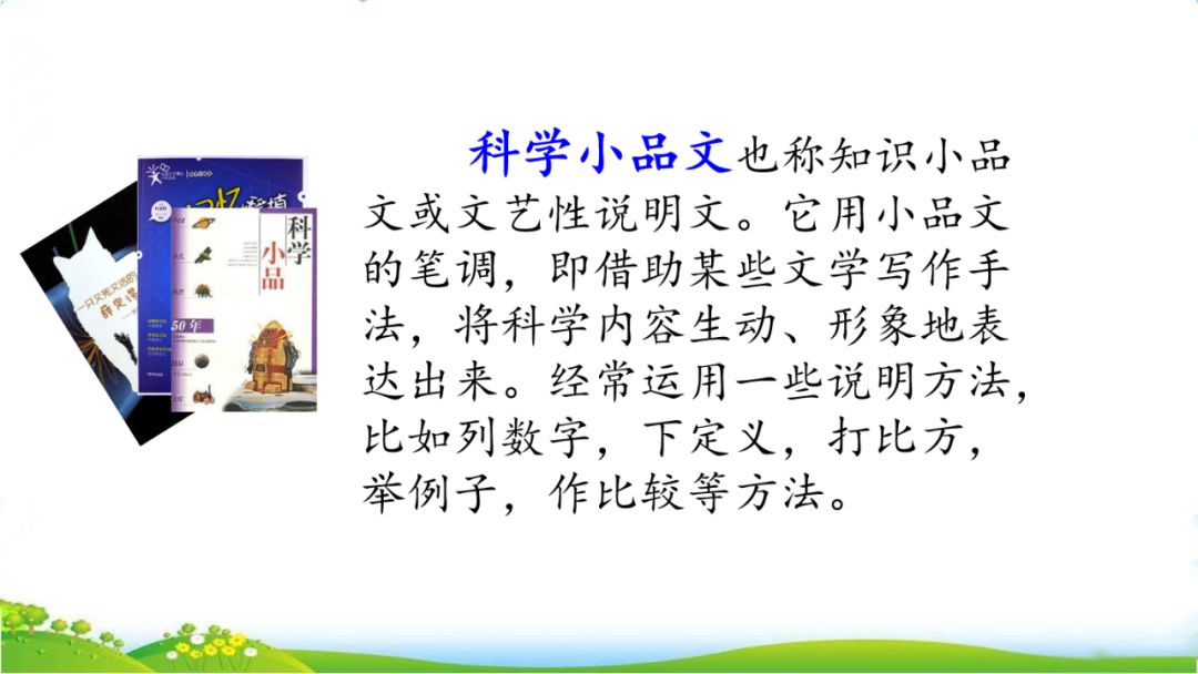 五年级语文第17课松鼠讲解,五年级上册第17课松鼠教材详解