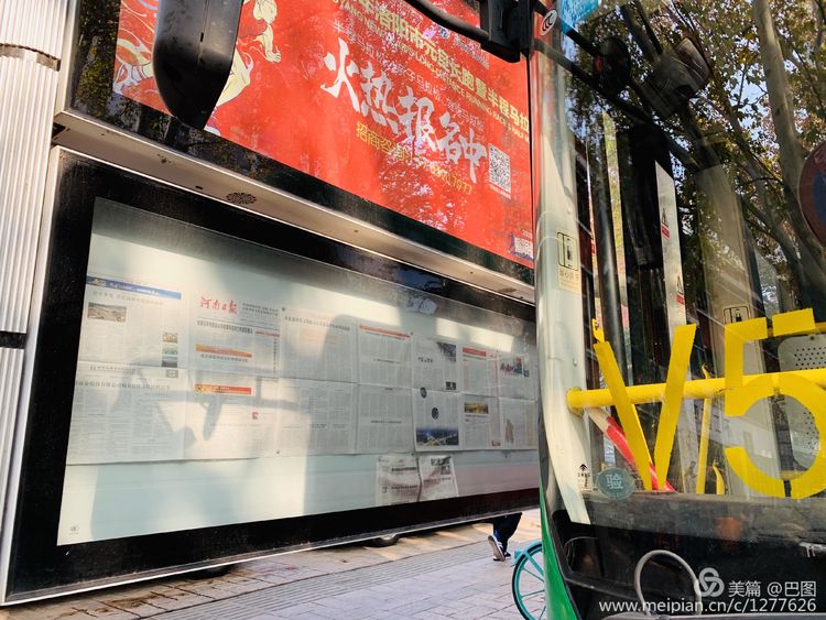 涧西牡丹广场老照片,洛阳牡丹手机拍照