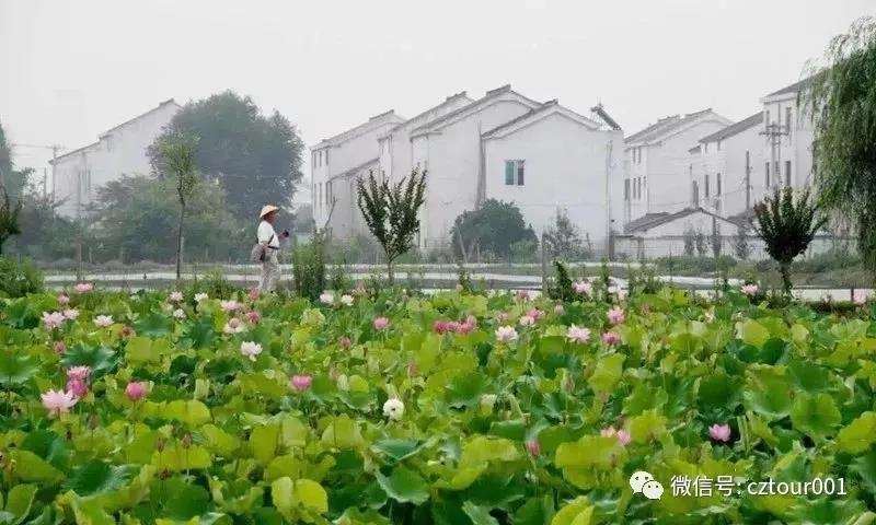 常州这10个被全省表彰的“网红村”、“创意园”，你去过吗？