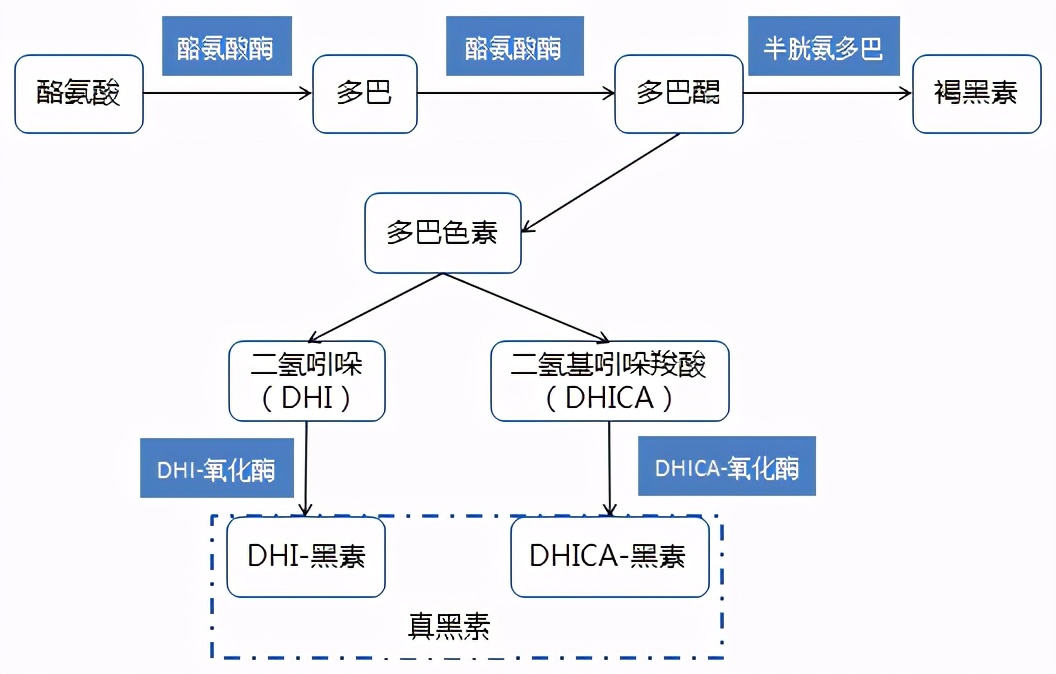 熊果苷美白淡斑水乳怎么样,熊果苷焕亮