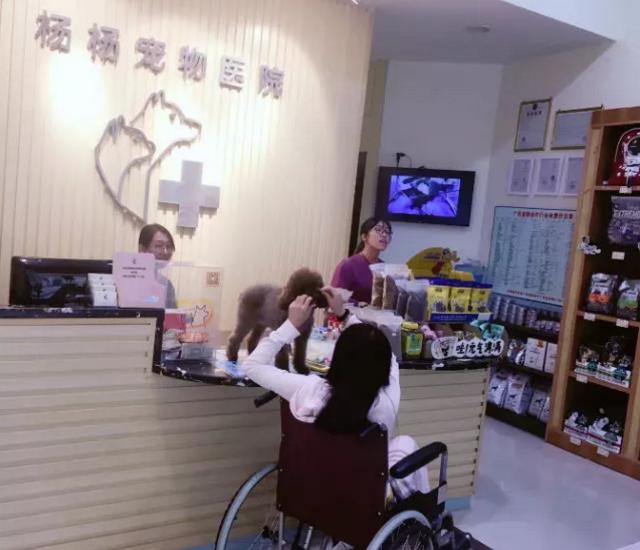 南宁二十四小时宠物医院,南宁宠物医院24小时急诊多少钱