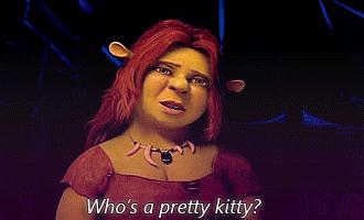 猫咪特别小如何分辨它是不是矮脚,什么小猫咪又乖又掉毛少