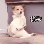 路由器选购和使用技巧,路由器选购和配置