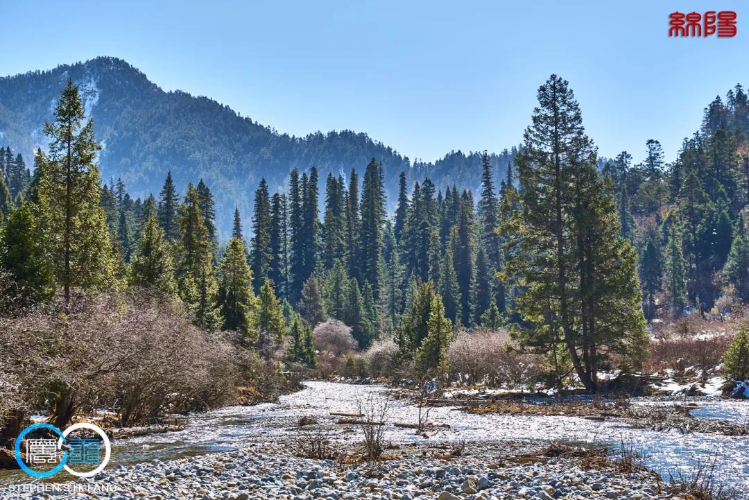 李子柒家乡成旅游景点,李子柒乡愁