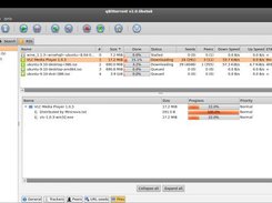 完美替代迅雷app的磁力下载工具,什么软件代替迅雷种子