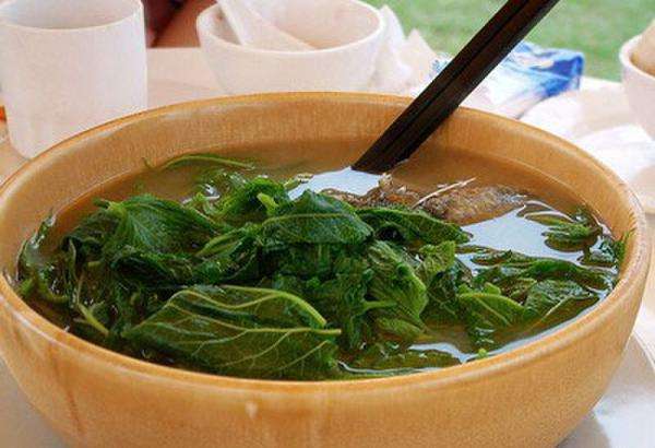 桑叶长期泡水喝的功效,桑叶泡水喝竟有6个好处