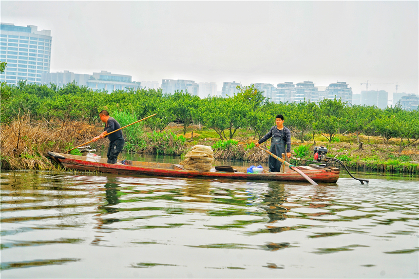 江南水乡旅游攻略四天三晚,温州旅行攻略四天三夜