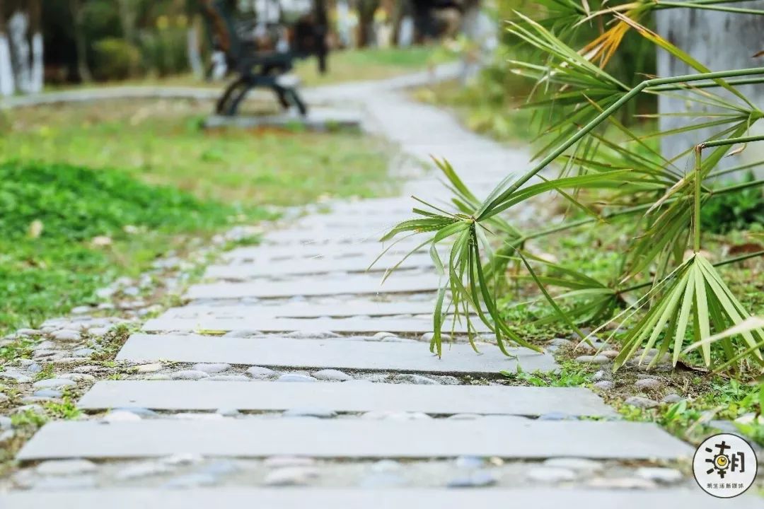 閿﹀煄鐨囧璐垫棌瀛﹂櫌,鎴愰兘閿﹀煄璐垫棌瀛﹂櫌