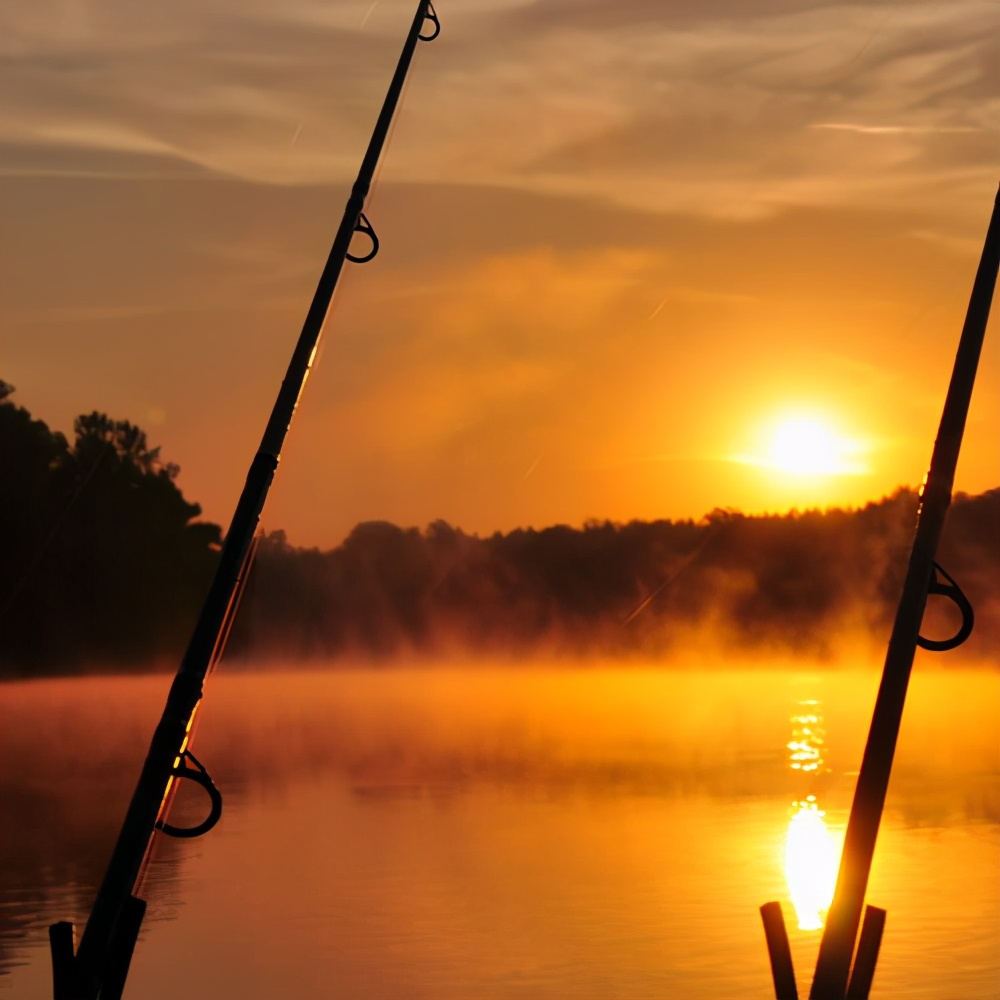 有趣的水上运动项目,室内水上运动有哪些
