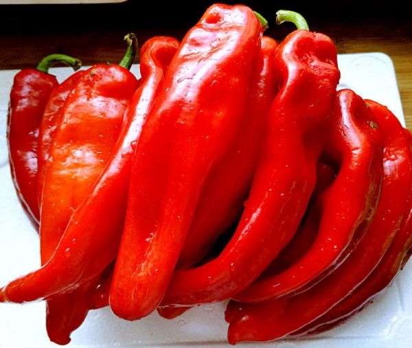 广西自制辣椒酱蒜蓉,自制辣椒酱蒜蓉可以放糖吗