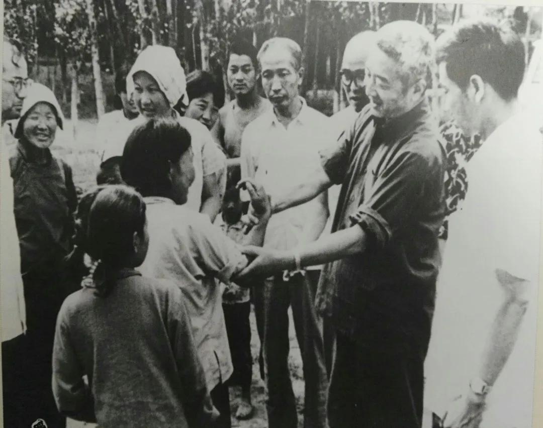 信念一生在线观看,信念一生全国首映礼