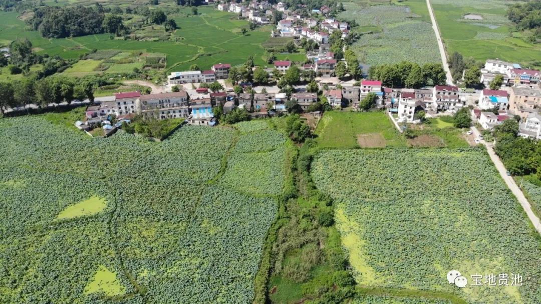 村级集体经济发展经验做法,发展壮大村集体经济思路和想法
