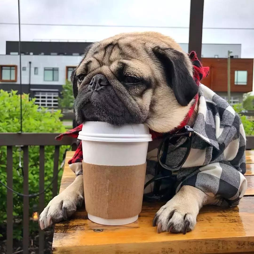 春节怼亲戚的套路,春节怼亲戚