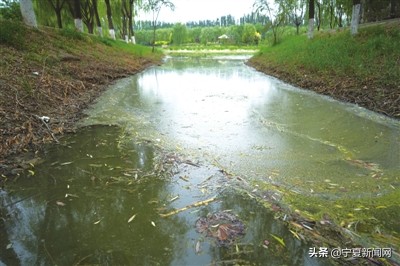 昔日臭水沟今日打卡地运河公园,现在银川市凤凰公园