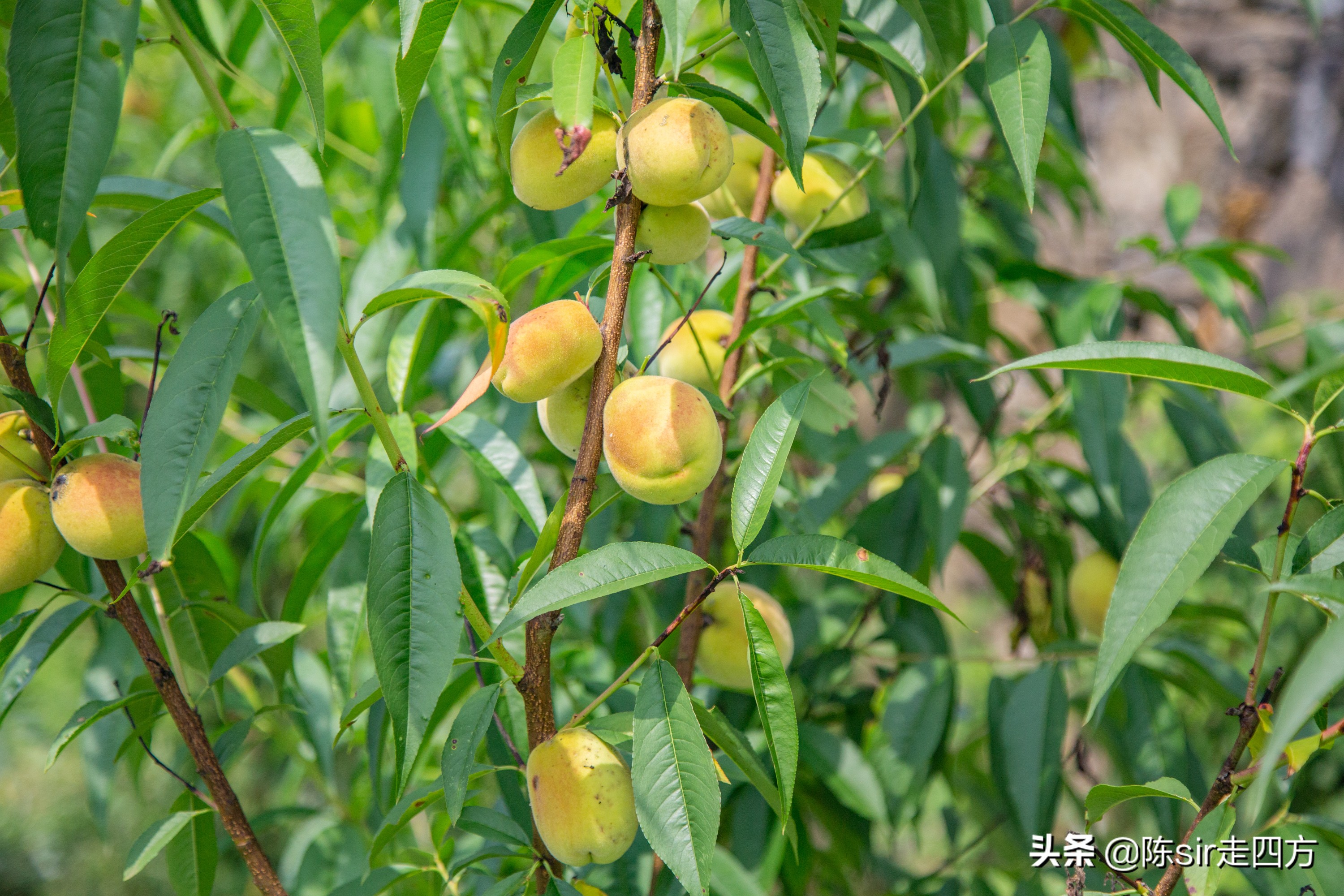 重庆到桐梓自驾游攻略路线,重庆到贵州桐梓三日游最佳路线图