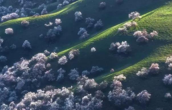 散文：春风桃花十里香，不端酒杯也醉你