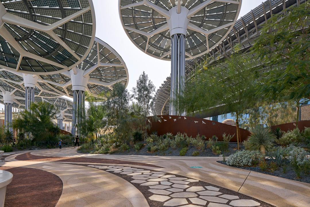 迪拜世博会中国馆正式试运营,迪拜世博会各国展馆建筑抢先看