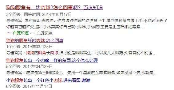 儿童眼角长个黑色的小肉球,小奶猫眼睛长肉球怎么办