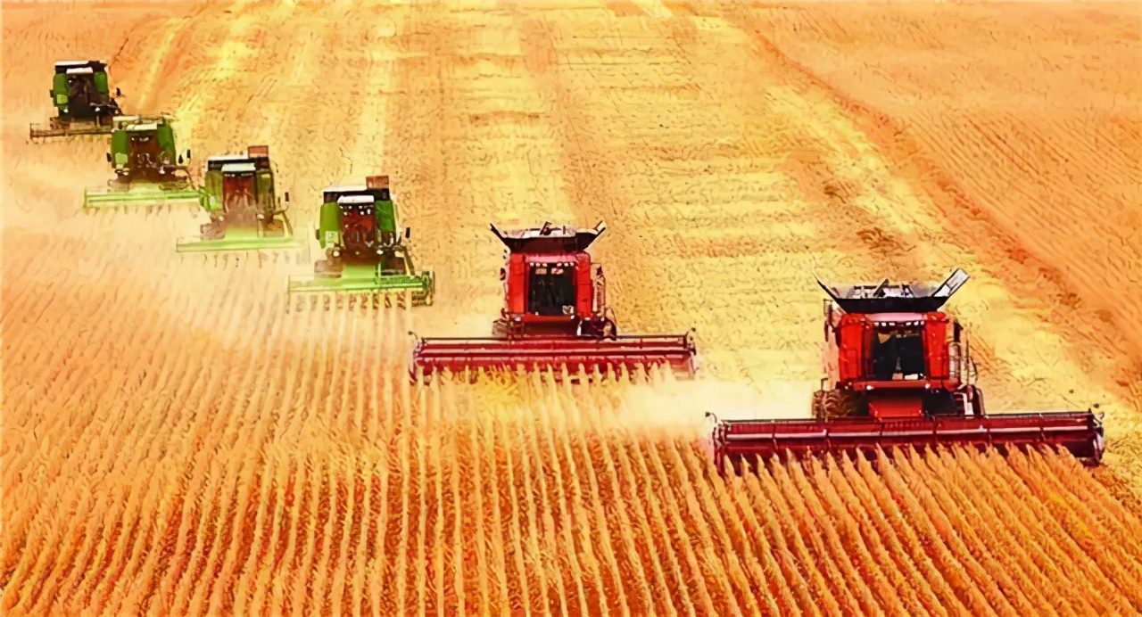 美国操控粮食价格,美国4大粮商与中国打粮食战