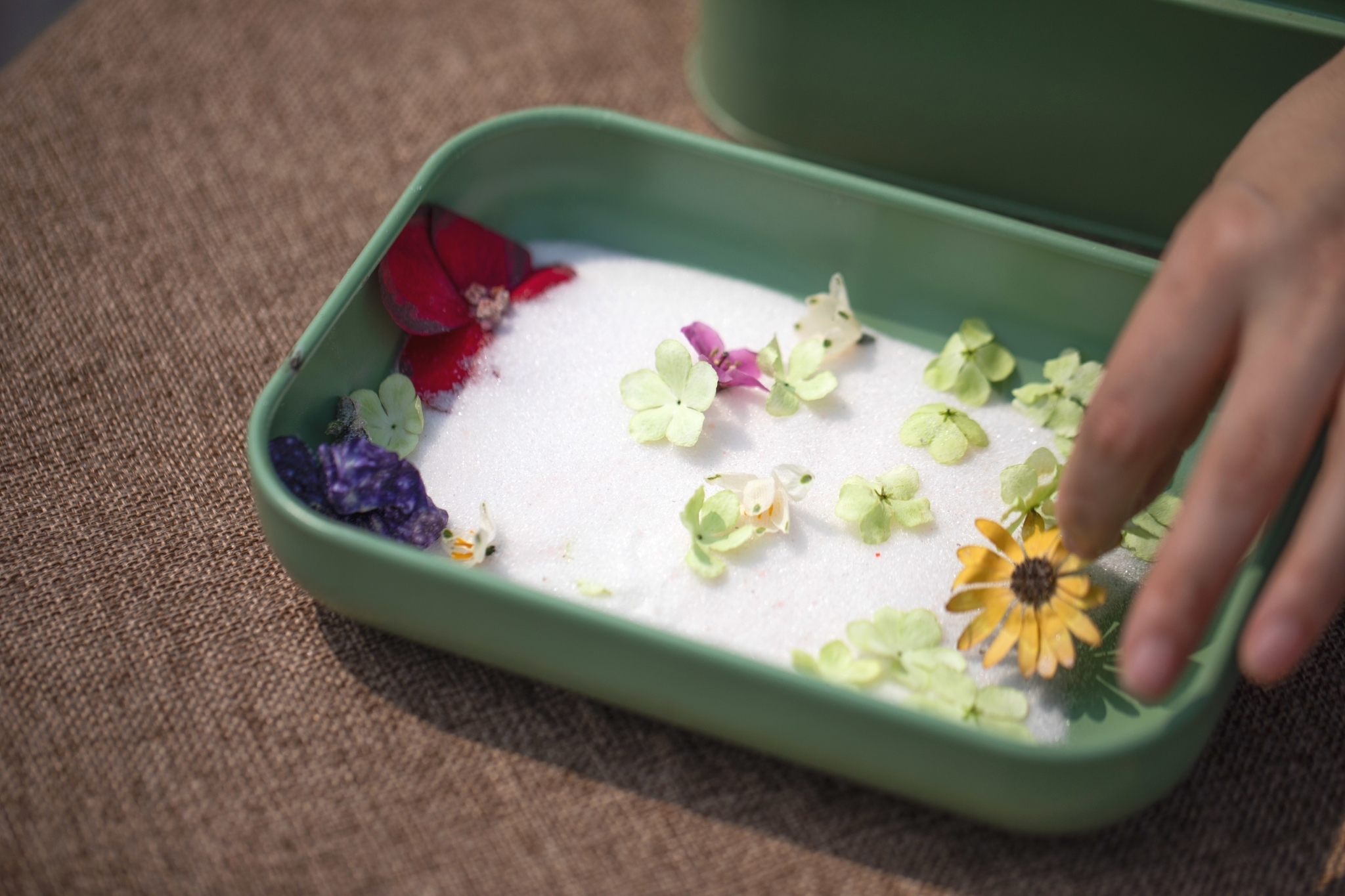 收藏春天的教程,怎么收藏春天