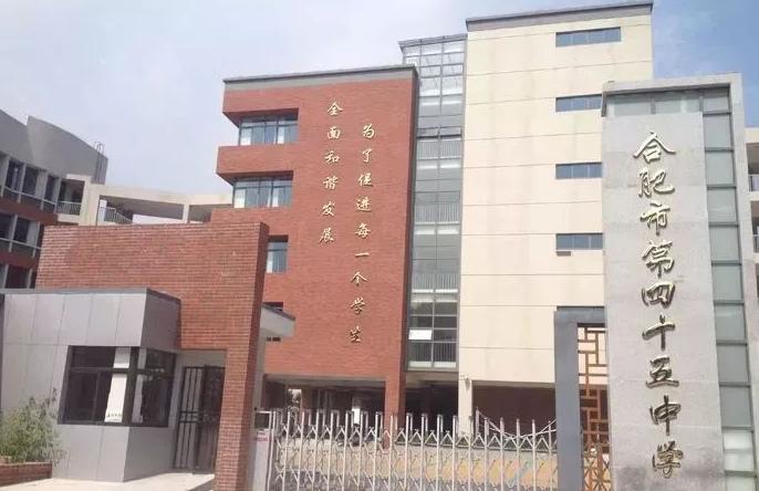 丁雯琪学霸,丁雯琪合肥学霸