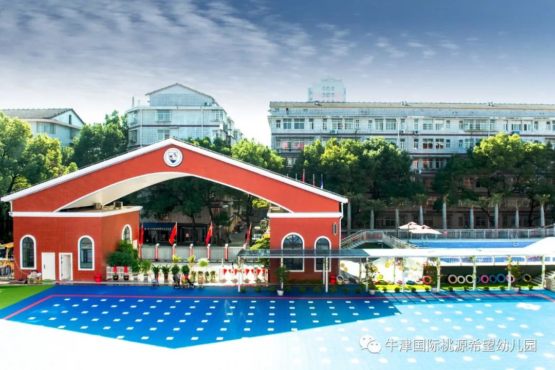 常德桃源公办小学招生政策,常德桃源高中招生计划