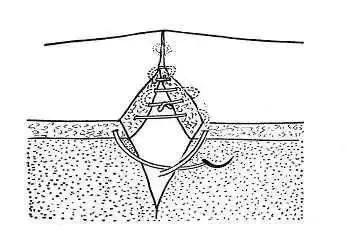 外科缝合方法笔记,兽医外科手术中最常用的缝合方法