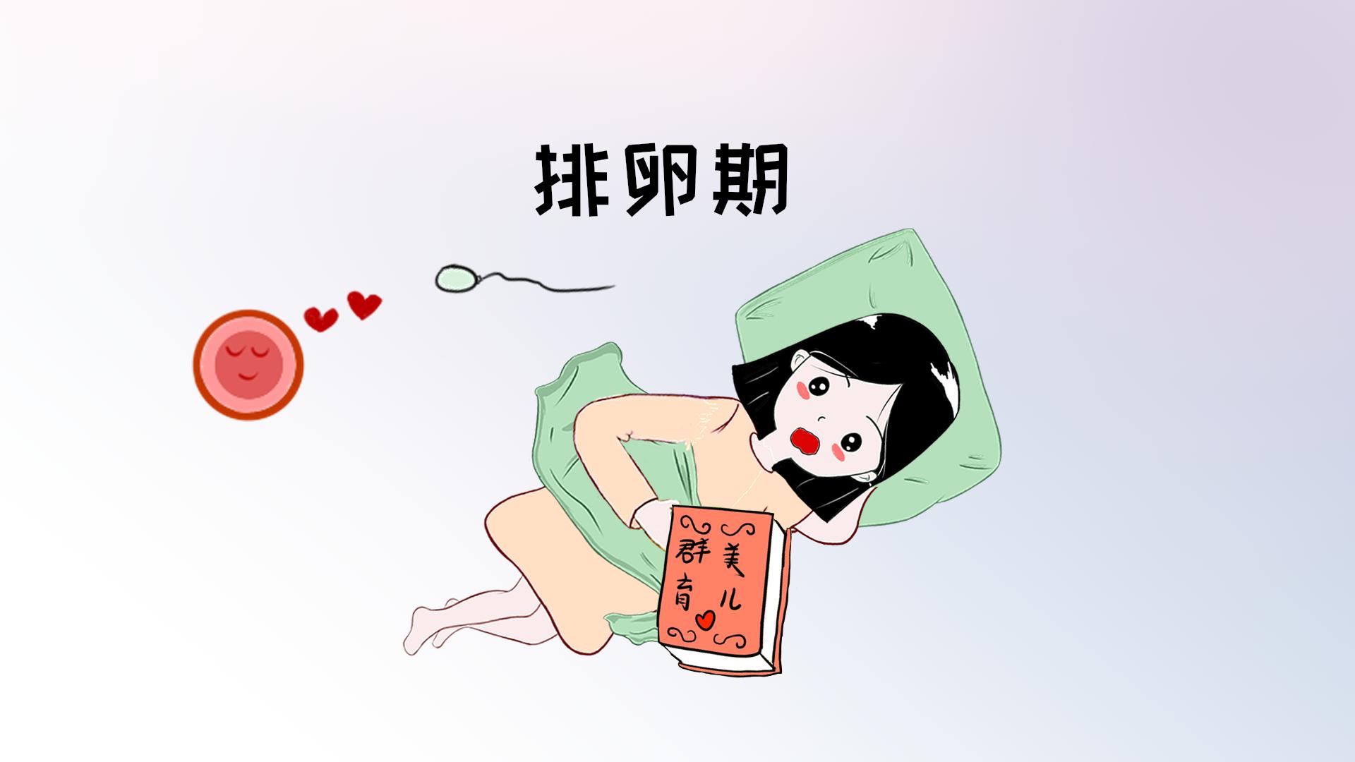 备孕的艰辛之路,备孕艰辛之路