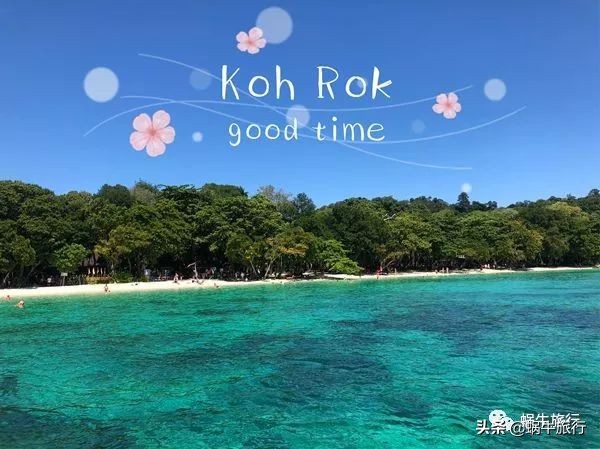 巨蜥像退休大爷休闲漫步；满海的活珊瑚、海葵…国家公园开岛啦