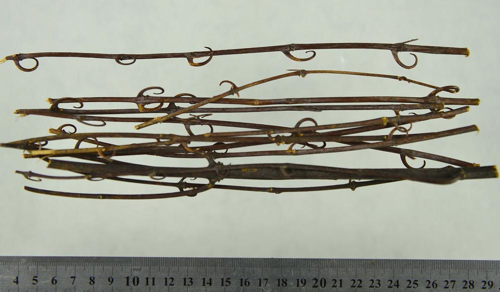 看图识药西药,看图识中药书籍