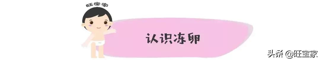 阿sa林志玲宋慧乔,阿sa徐静蕾林志玲