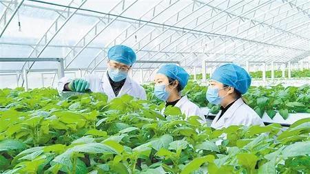 脱贫攻坚书写乡村振兴新画卷,书写新时代奋斗征程新篇章